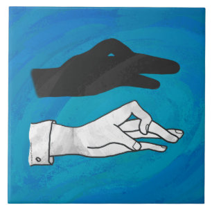 Carreau Canard noir sur bleu