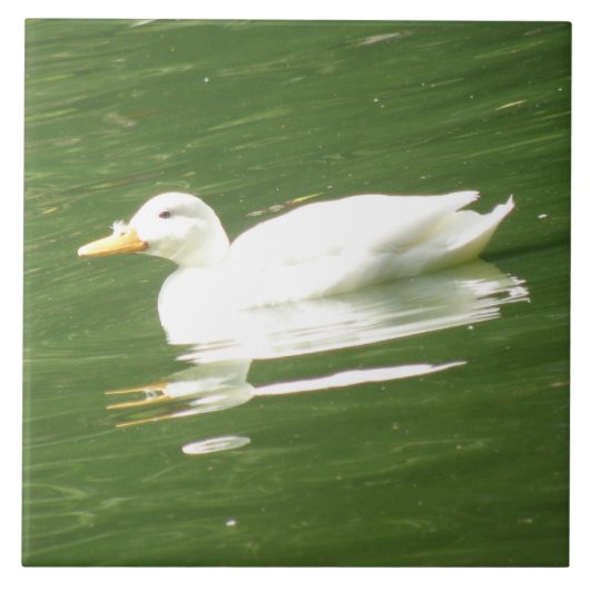 Carreau Canard sur la nappe d'eau (Devant)