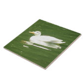 Carreau Canard sur la nappe d'eau (Côté)