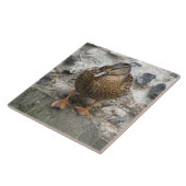 Carreau Canard sur une dalle murale (Côté)