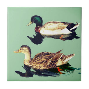 Carreau Canards