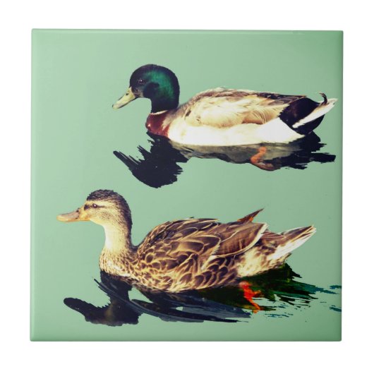 Carreau Canards (Devant)