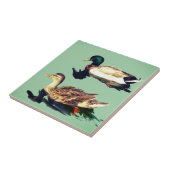 Carreau Canards (Côté)