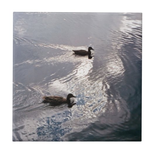 Carreau Canards calmes avant la tempête (Devant)