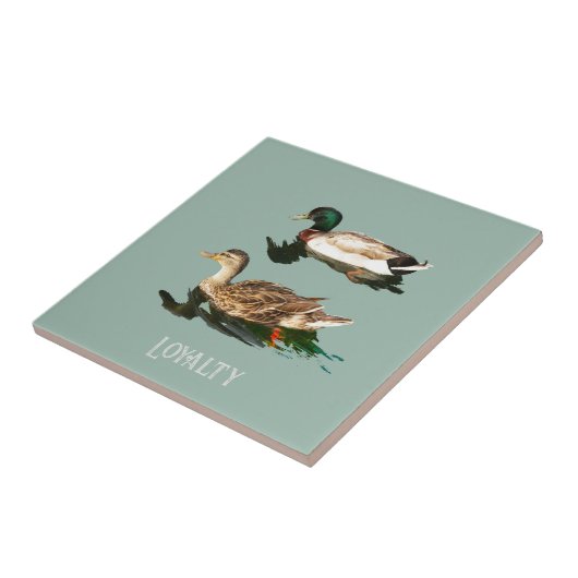 Carreau Canards colverts (Côté)