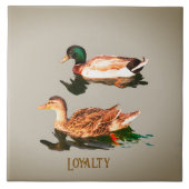 Carreau Canards colverts. Loyauté (Devant)