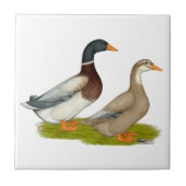 Carreau Canards de la Saxe (Devant)