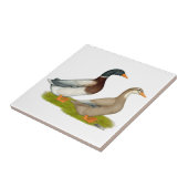 Carreau Canards de la Saxe (Côté)