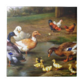 Carreau Canards et canetons (Devant)