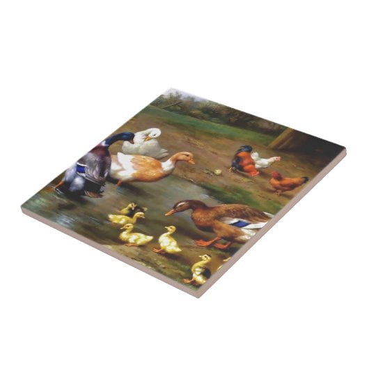 Carreau Canards et canetons (Côté)