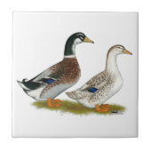 Carreau Canards : Joyeuse Argent (Devant)