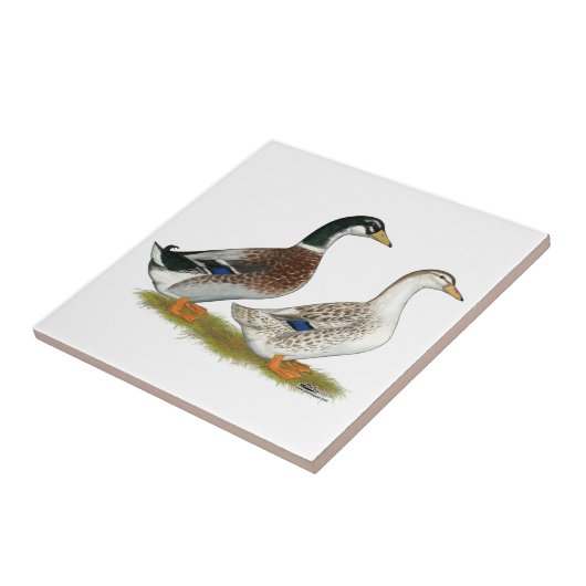 Carreau Canards : Joyeuse Argent (Côté)