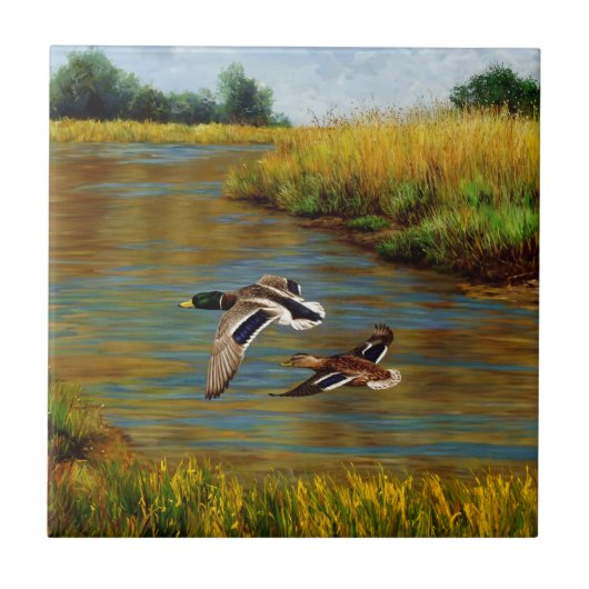 Carreau Canards-Majards Survolant L'Étang (Devant)