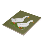 Carreau Canards : Pekins blanc (Côté)