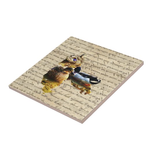 Carreau Canards sur papier vintage (Côté)