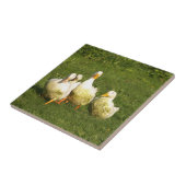 Carreau canards, vivants, prairies, animaux, ferme, vie ru (Côté)