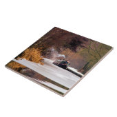 CARREAU CANAUX (Côté)