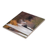 CARREAU CANAUX (Côté)