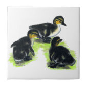 Carreau Canetons de Mallard (Devant)