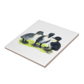 Carreau Canetons suédois bleus (Côté)