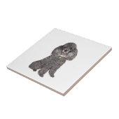 Carreau Caniche - Jouet / Miniature Argent (Côté)