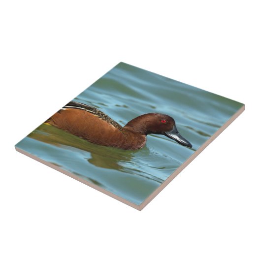 Carreau Cannelle Teal (Côté)