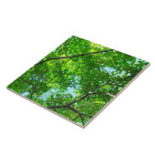 Carreau Canopée verte, Branches feuillues avec ciel bleu (Côté)