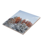 Carreau Canyon de Bryce (Côté)