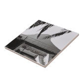 Carreau Cap Lion's Head Afrique du Sud ZA (Côté)