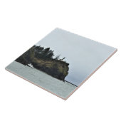 Carreau Cape Disappointment Lighthouse (Côté)