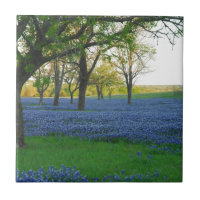 Capots de bleu du Texas