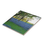 Carreau Capots de bleu du Texas (Côté)