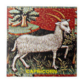 Carreau Capricorne chèvre signe Zodiac fête d'anniversaire (Devant)