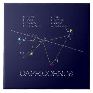 Carreau Capricorne de constellation zodiaque
