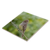 Carreau Capteur (Côté)