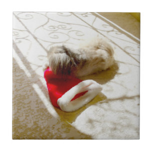 Carreau Captured Santa