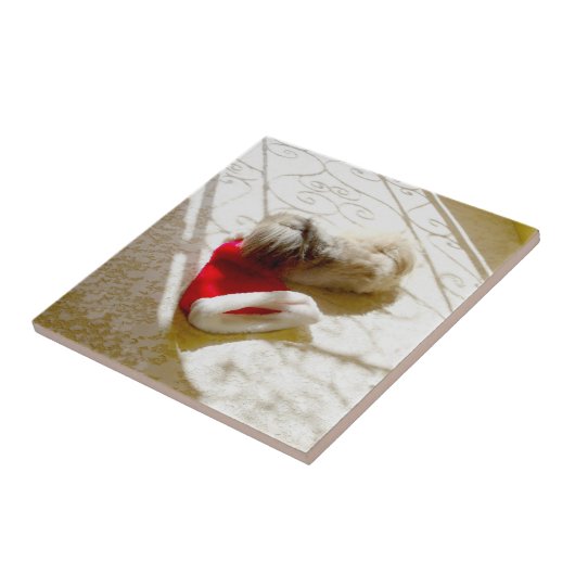 Carreau Captured Santa (Côté)