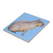 Carreau Capybara (Côté)
