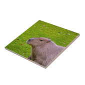 Carreau Capybara Animal Incroyable (Côté)