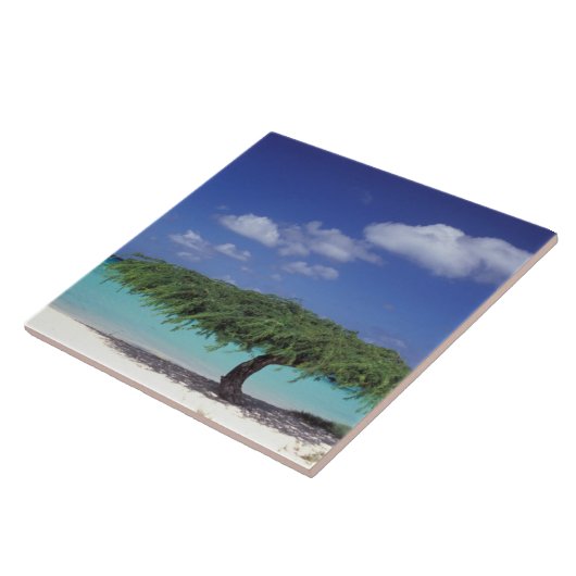 Carreau Caraïbes, Aruba. Plage d'Eagle (Côté)