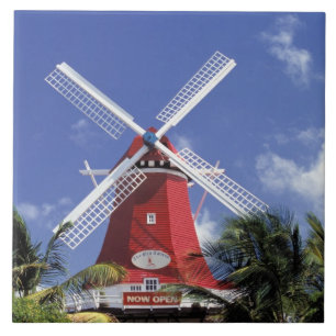 Carreau Caraïbes, Aruba. Vieux Moulin, converti en 'Moulin