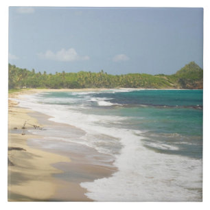 Carreau Caraïbes, GRENADA, Côte Est, Baie de Grenade,
