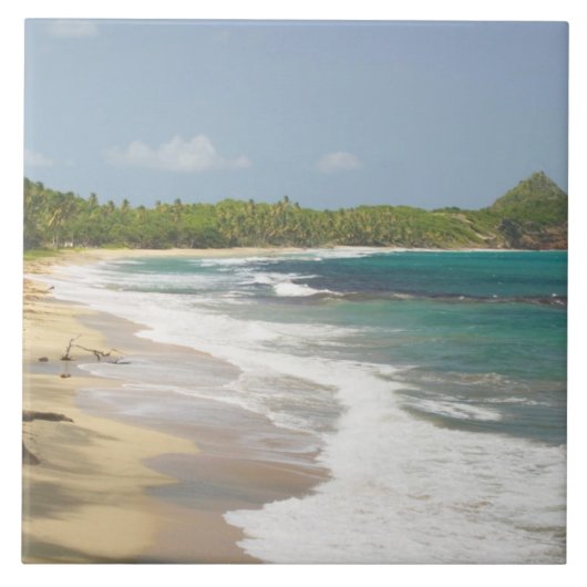 Carreau Caraïbes, GRENADA, Côte Est, Baie de Grenade, (Devant)
