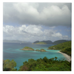 Carreau Caraïbes, îles Vierges américaines, St. John, Trun