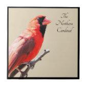 Carreau Cardinal (Devant)