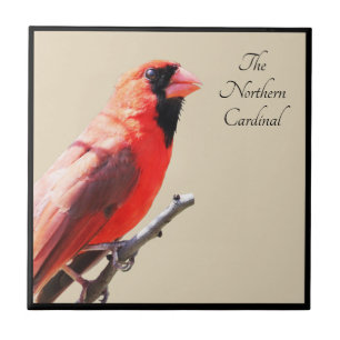 Carreau Cardinal
