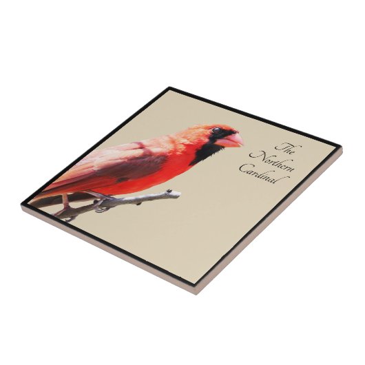 Carreau Cardinal (Côté)