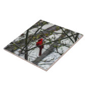 Carreau Cardinal (Côté)