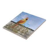 Carreau Cardinal cardinal cardinal cardinal (Côté)