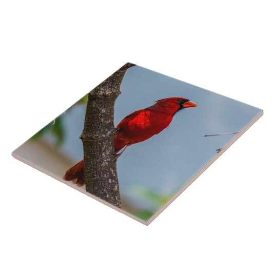 Carreau Cardinal Cardinal Ceramic Art Tile (Côté)